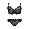 transparent bra panties lace bra set New embroidery bras underwear women set plus size lingerie sexy C D cup Ultrathin