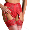 New Sexy Fun Lingerie for Women – High-Waisted Lace Set with Adjustable Garter Straps